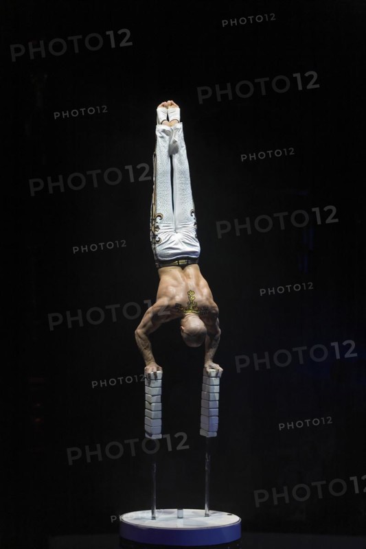 Artist in circus ring