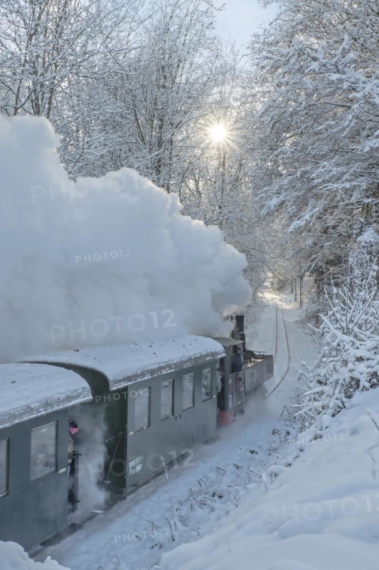 Winter steam locomotive ride of the Steyrtalbahn museum railway in Gruenburg, Upper Austria, Austria, Europe