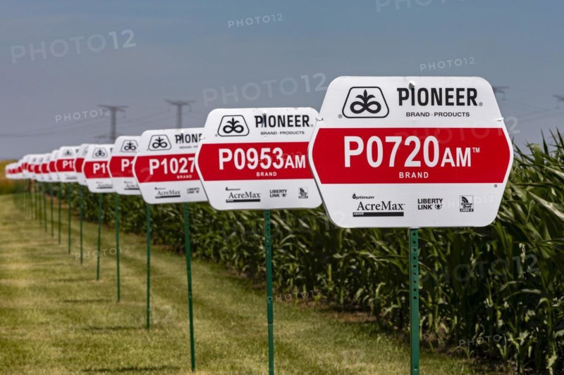 seeds produced by Pioneer, genetically modified crops, Eureka, Illinois, Varieties, USA, North America