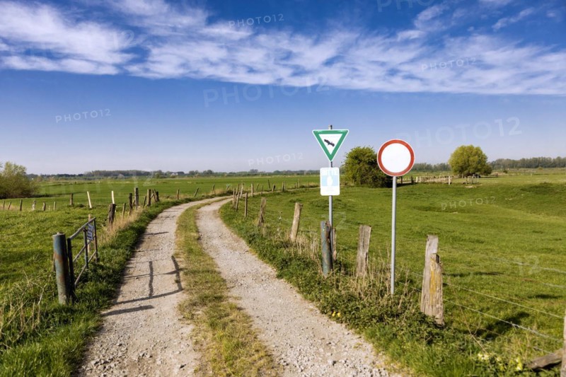 Nature reserve near Rees on the Lower Rhine, field path, pasture, paddock, pasture fences, meadow, Rees, North Rhine-Westphalia, North Rhine-Westphalia, Germany, Europe