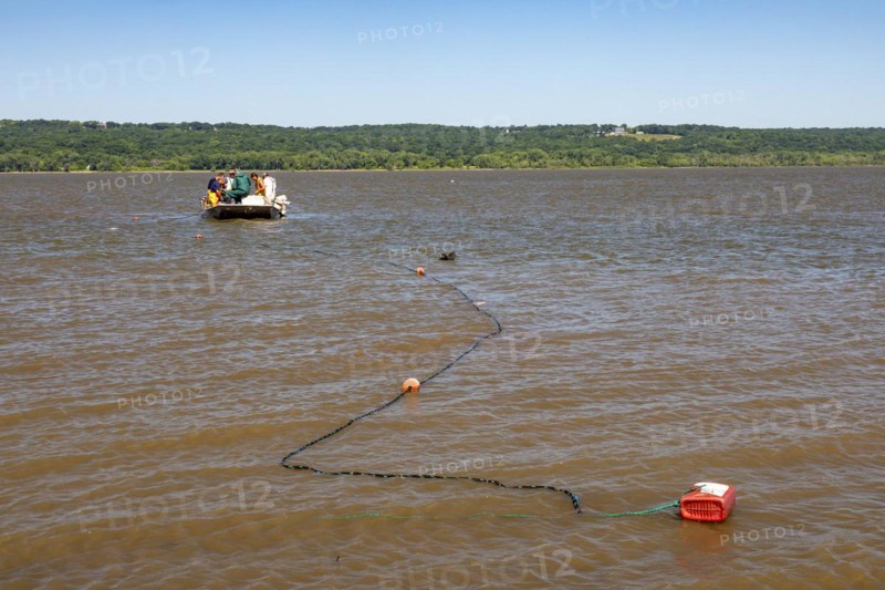 Fishermen on the Illinois River use gillnets to harvest invasive Asian carp, mostly the silver carp