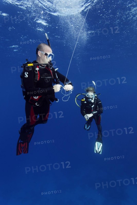 Diver, female diver, exercise, setting the safety buoy, 5th rope hold and checking diving depth with dive computer, Red Sea, Hurghada, Egypt, Africa