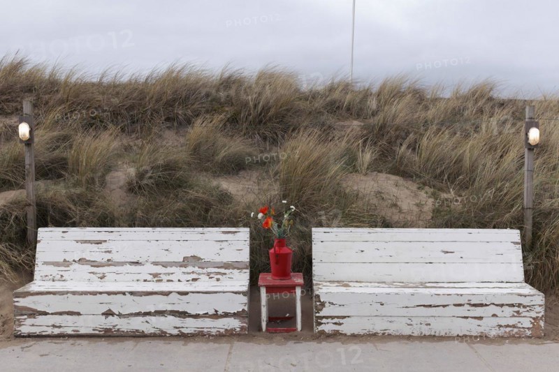 Red vase with artificial flowers between wooden benches, idyllic seating area on a dune path, Dutch North Sea coast, Bergen aan Zee, province North Holland, Netherlands