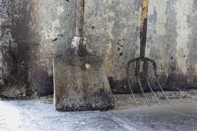 Shovel and pitchfork on a demeter farm in Holzkirchen, 16.06.2022., Holzkirchen, Germany, Europe