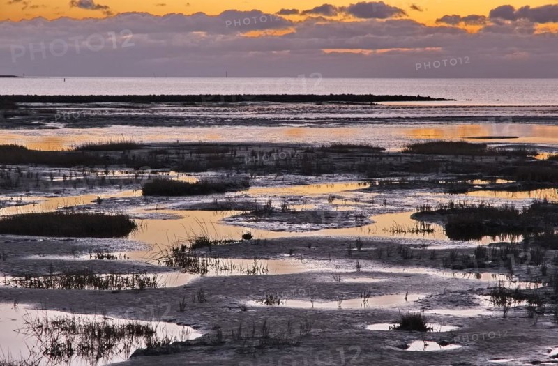 Evening landscape shortly after sunset with draining water in the Wadden Sea National Park. The Wadden Sea off the North Frisian coast is a UNESCO World Heritage Site. Dike at Strandweg, Friedrichskoog, Schleswig-Holstein, Germany, Europe