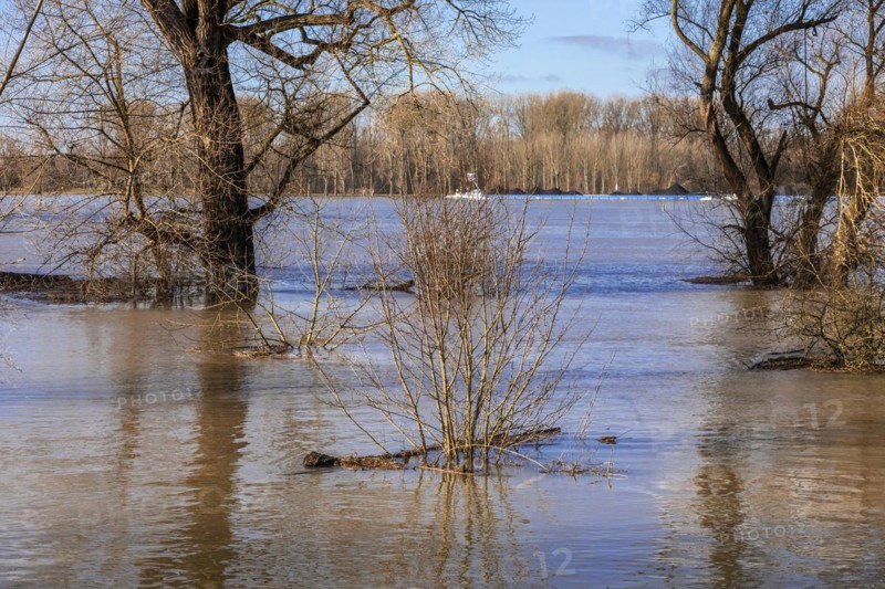 Flooding on the Rhine in the south of Duesseldorf, districts of Benrath and Urdenbach, Duesseldorf, North Rhine-Westphalia, Germany, Europe