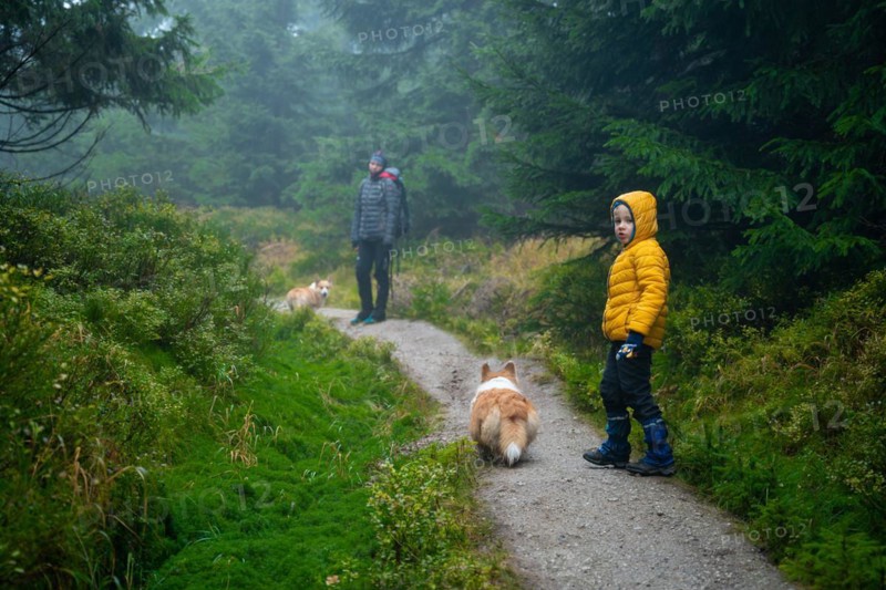 Mum and her little son go on a mountain trail in wet autumn weather. They are accompanied by a dog. Polish mountains