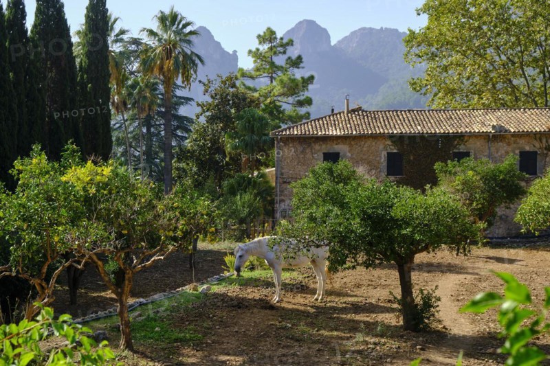 Jardines de Alfabia
