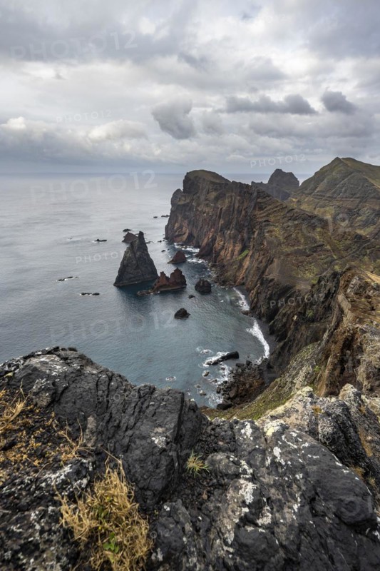 Coastal landscape