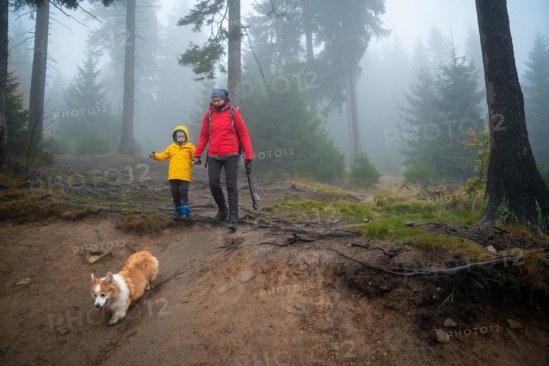 Mum and her little son go on a mountain trail in wet autumn weather. They are accompanied by a dog. Polish mountains