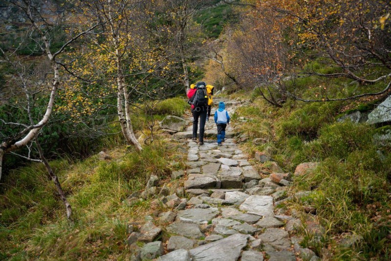During the autumn