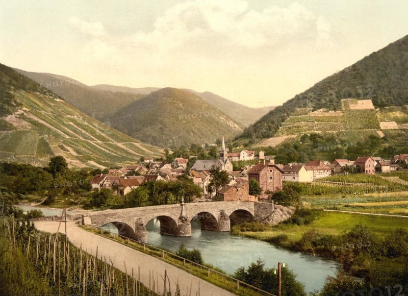 Rech im Ahrntal