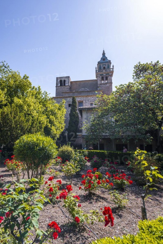Valldemossa Charterhouse