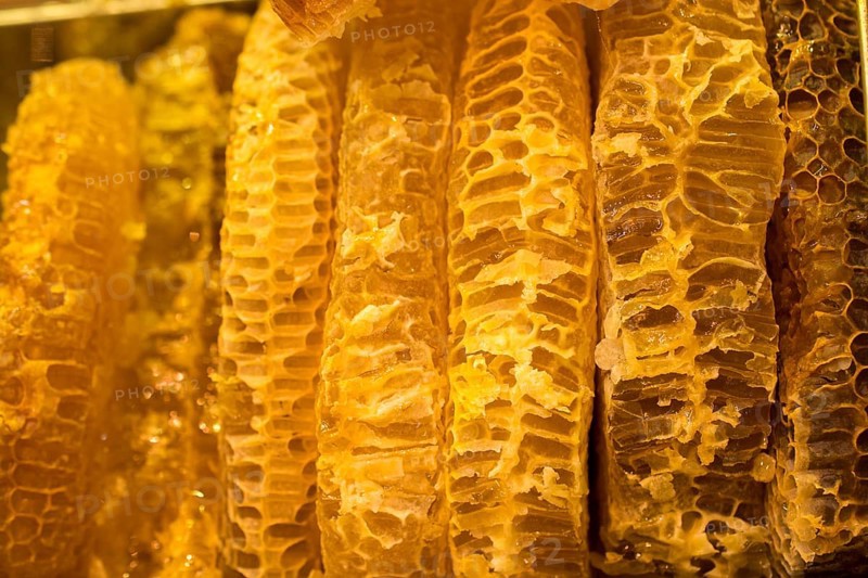 Sweet fresh honey in the sealed comb frame