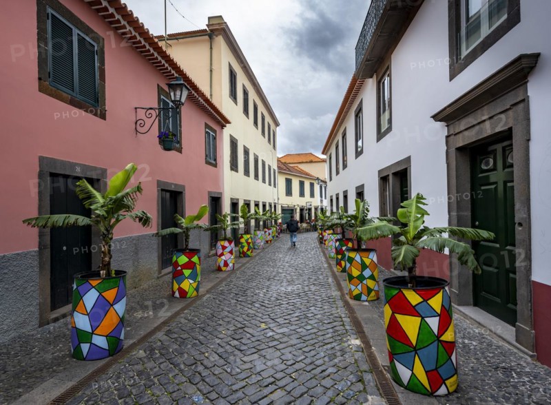 Street with colourful flower pots