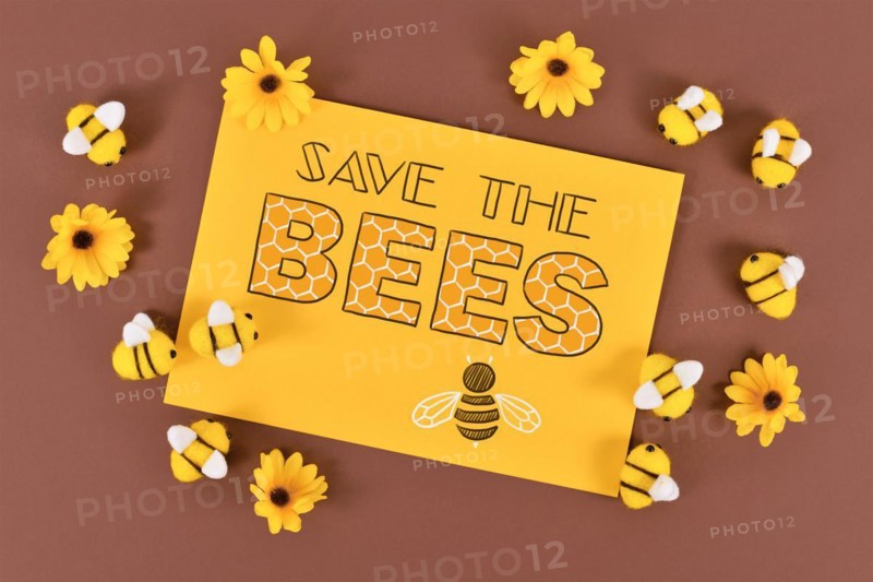 Save the Bees sign surrounded by felt bees and yellow flowers