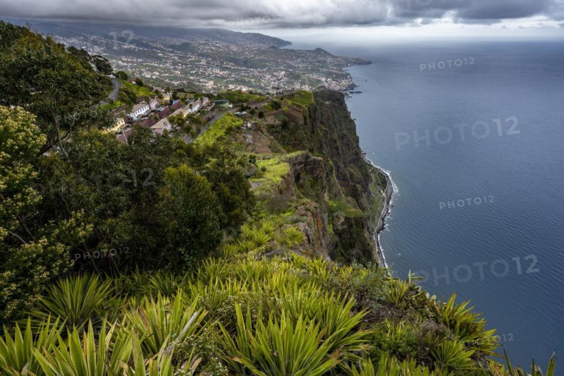 View of the cliffs from the viewing platform