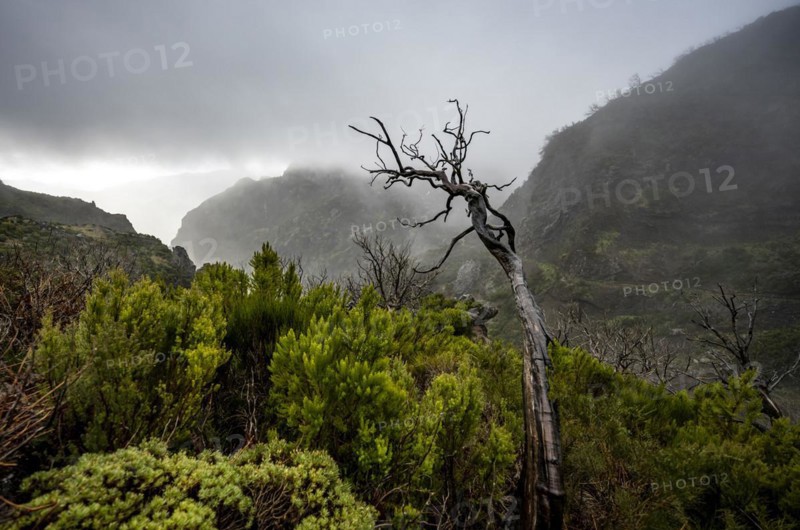 Cloud-covered mountains
