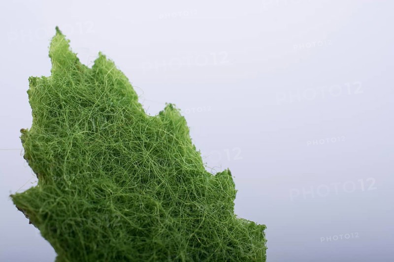 One separate green fake leaf