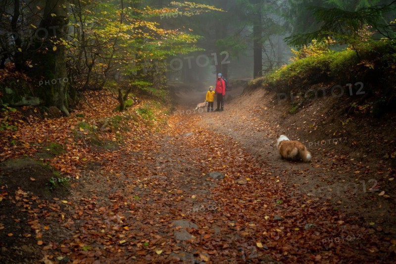 Mum and her little son go on a mountain trail in wet autumn weather. They are accompanied by a dog. Polish mountains