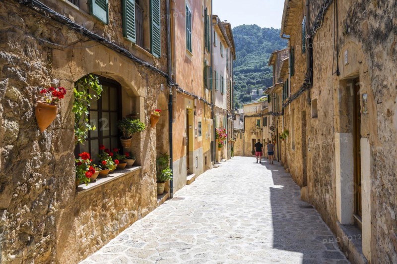 Flower pots in alley with typical stone houses