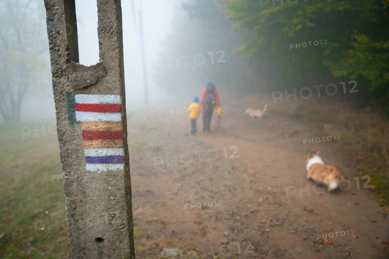 Mum and her little son go on a mountain trail in wet autumn weather. They are accompanied by a dog. Polish mountains