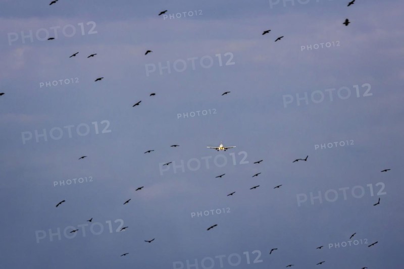 Aircraft on approach