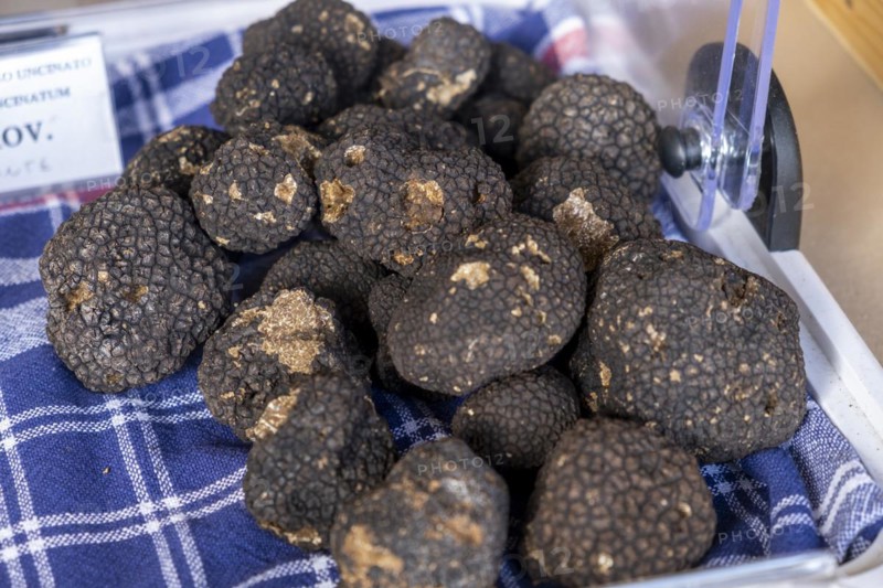 Black truffle