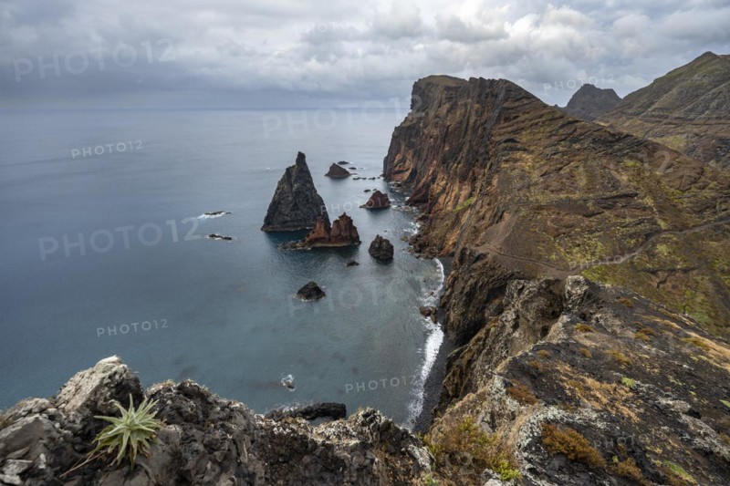 Coastal landscape