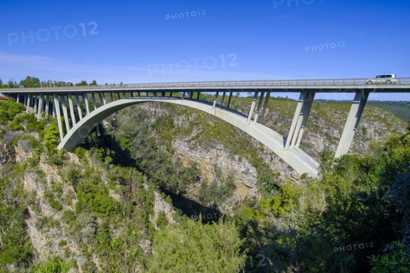Bridge