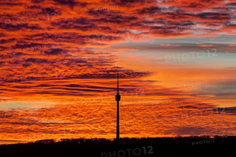 TV tower in the dawn