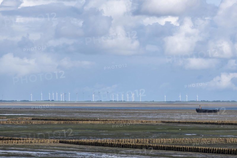 Mudflat landscape at low tide with lahnungen