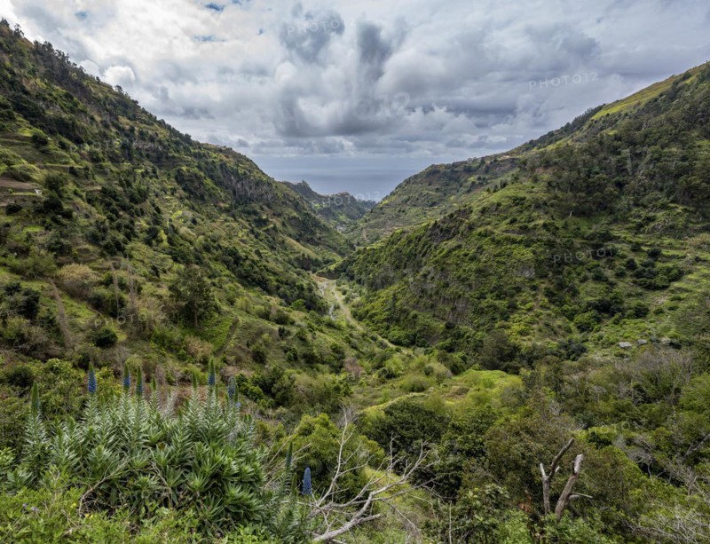 View in gorge