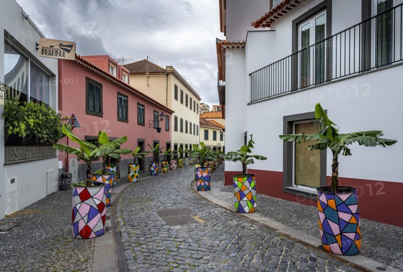 Street with colourful flower pots