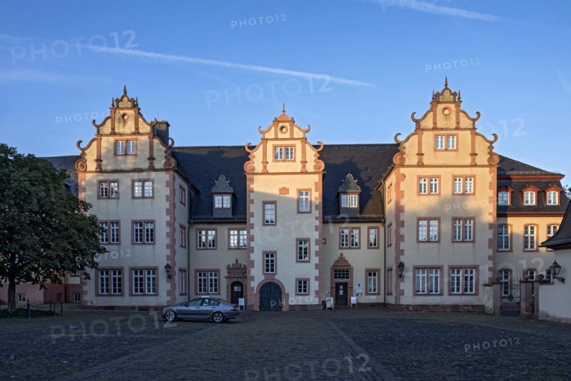 Friedberg Castle in the Castle