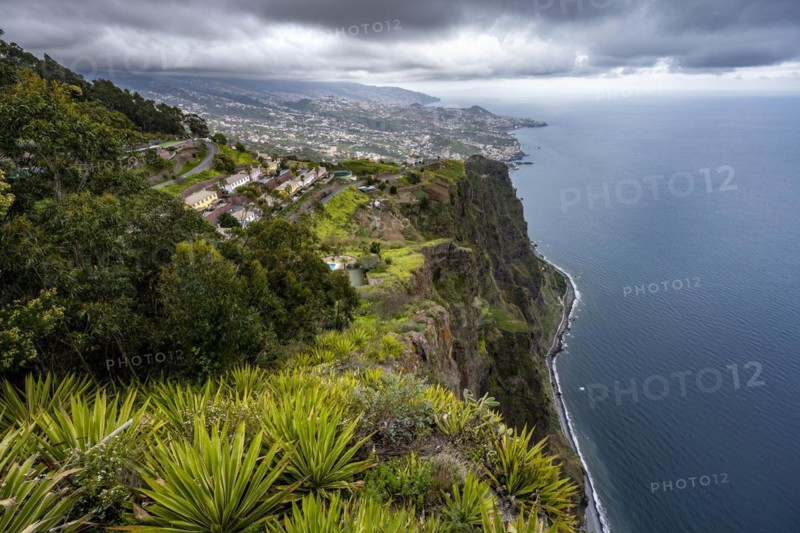 View of the cliffs from the viewing platform