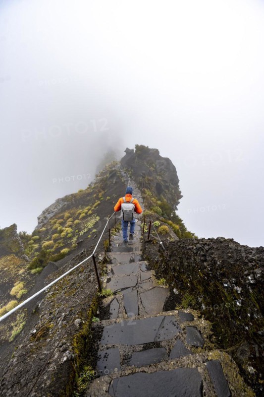 Hikers in the mist