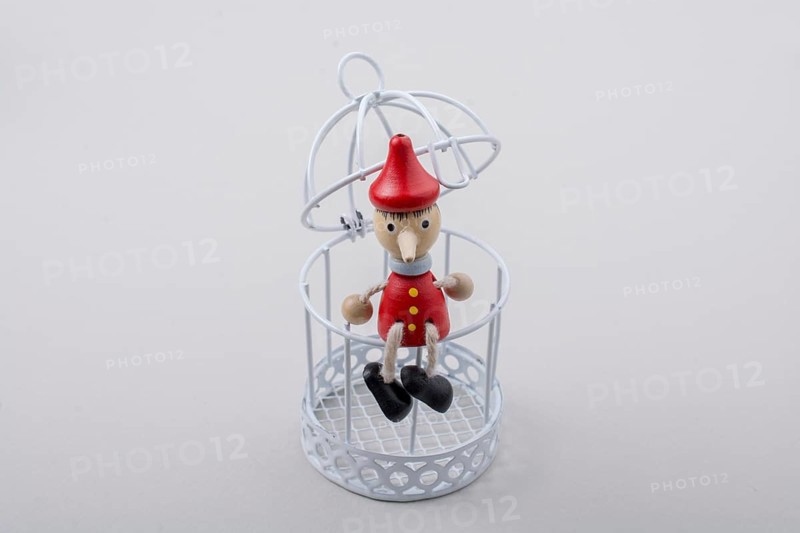 Metal cage and Little puppet pinocchio made of wood