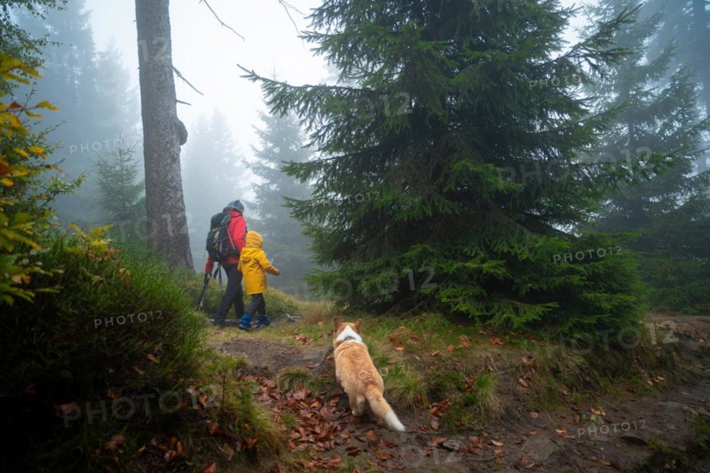 Mum and her little son go on a mountain trail in wet autumn weather. They are accompanied by a dog. Polish mountains