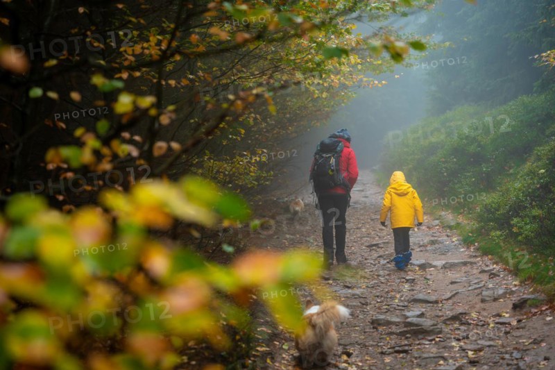 Mum and her little son go on a mountain trail in wet autumn weather. They are accompanied by a dog. Polish mountains