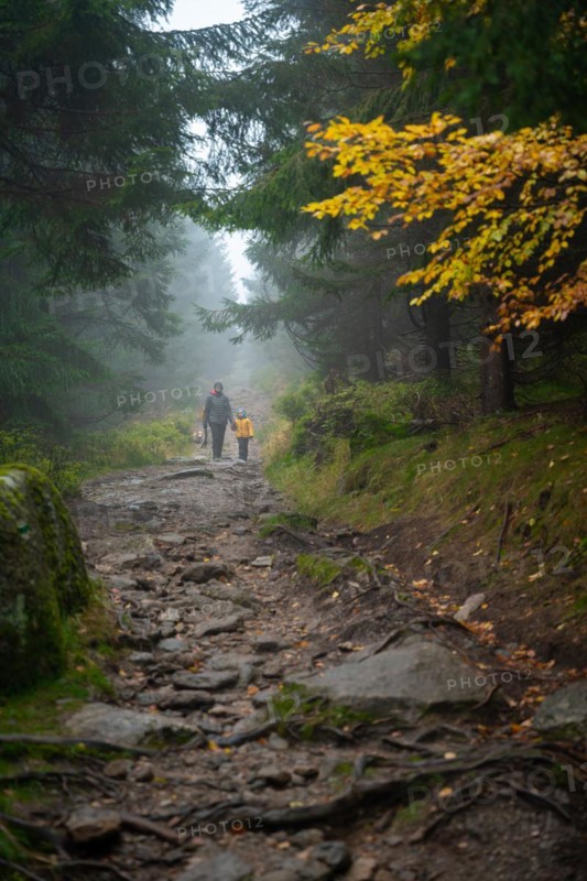 Mum and her little son go on a mountain trail in wet autumn weather. They are accompanied by a dog. Polish mountains