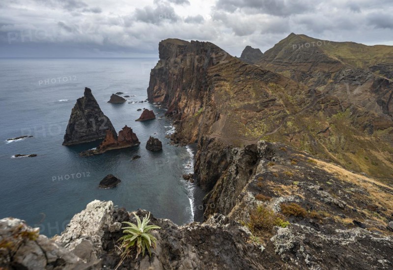 Coastal landscape