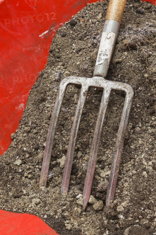 Pitchfork in red wheelbarrow filled with dirt in backyard garden in summer