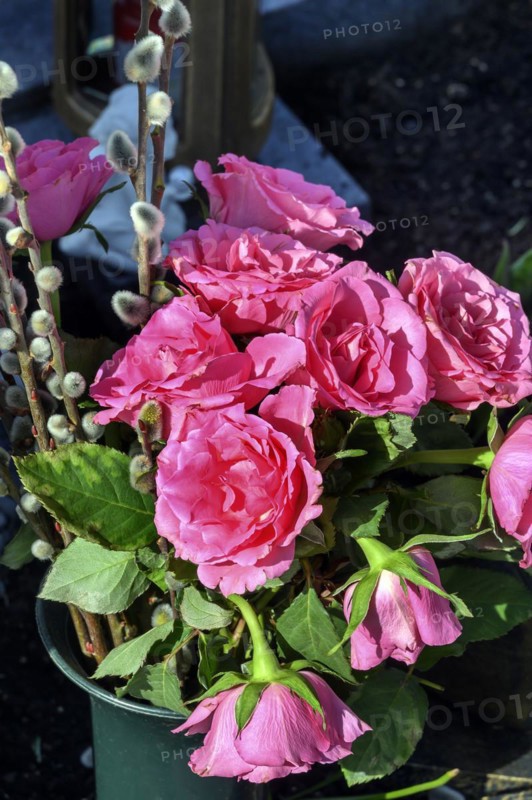 Grave decoration with roses
