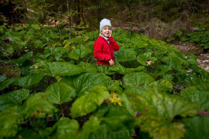 Child standing among large leaves in canyon of Slovak Paradise National Park