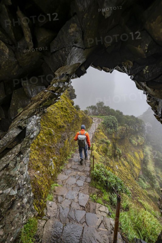 Hikers in the fog