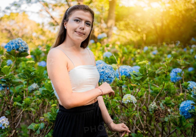Portrait of young woman in a hydrangea field. Woman in a hydrangea garden