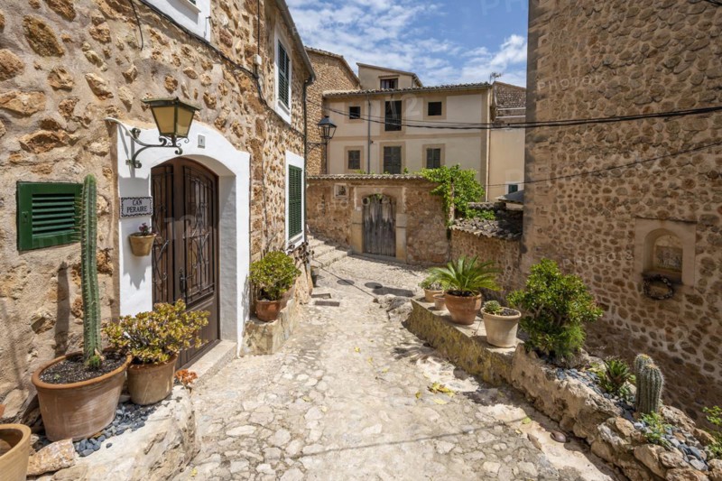 Flower pots in an alley with typical stone houses