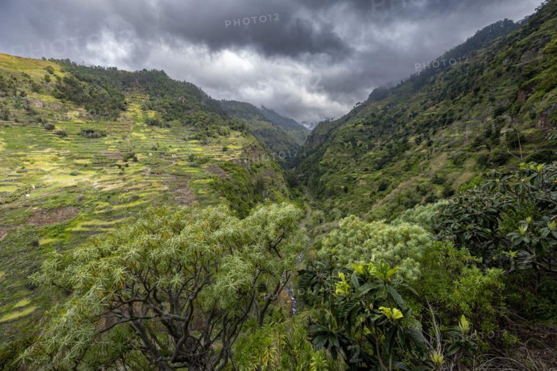 View in ravine