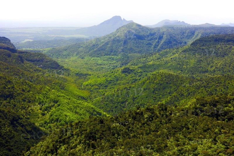 View of Black River Gorges National Park
